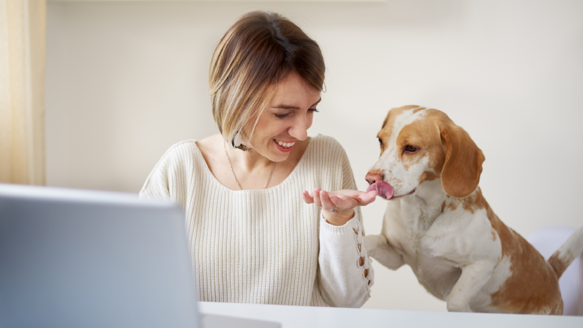 3 Reasons Why you Should Have an Office Dog